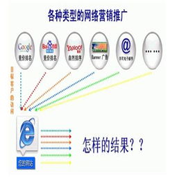 蘇州企業網絡優化與專業發帖服務 助力數字化轉型的互聯網信息服務